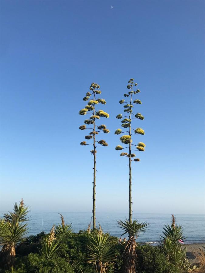 Marbella - Estepona Beach Frontline Apartment Buitenkant foto